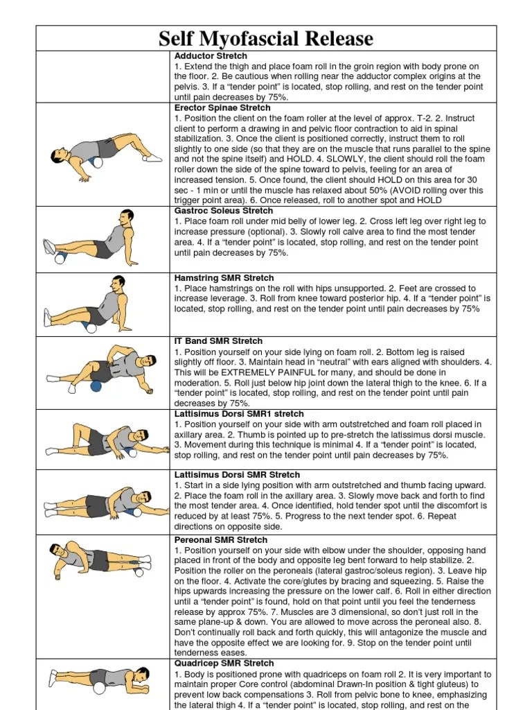 Self Myofascial Release | PDF | Pelvis | Human Leg
