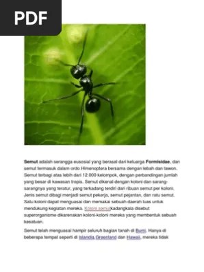 Semut | PDF
