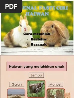 Mengapa haiwan menjaga dan melindungi telurnya? Imgv2 1 F Scribdassets Com Img Document 135251681