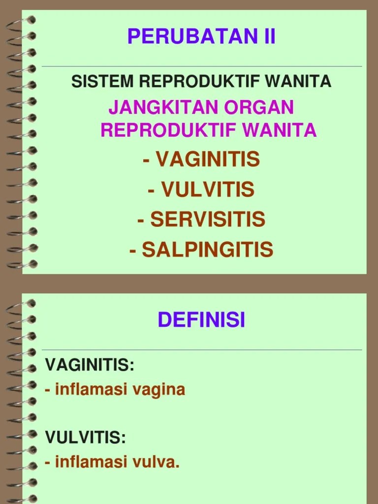 Vaginitis Vulvitis Servisitis Salpingitis | PDF
