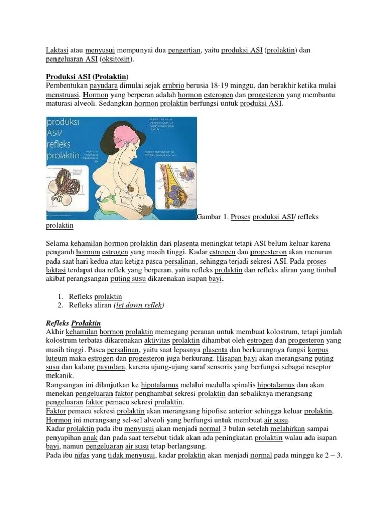 Laktasi Atau Menyusui | PDF