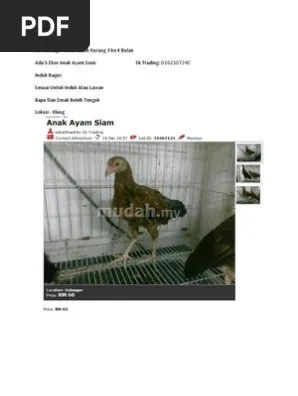 Walaupun aktiviti ini agak ketinggalan . Harga Ayam Siam Pdf