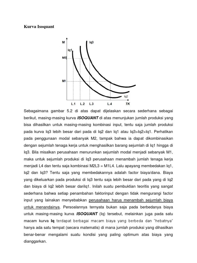 Kurva Isoquant | PDF