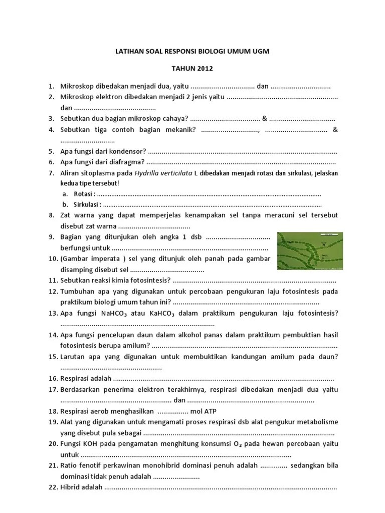 Lensa objektif, berada dekat pada . Latihan Soal Praktikum Biologi Umum Ugm Pdf