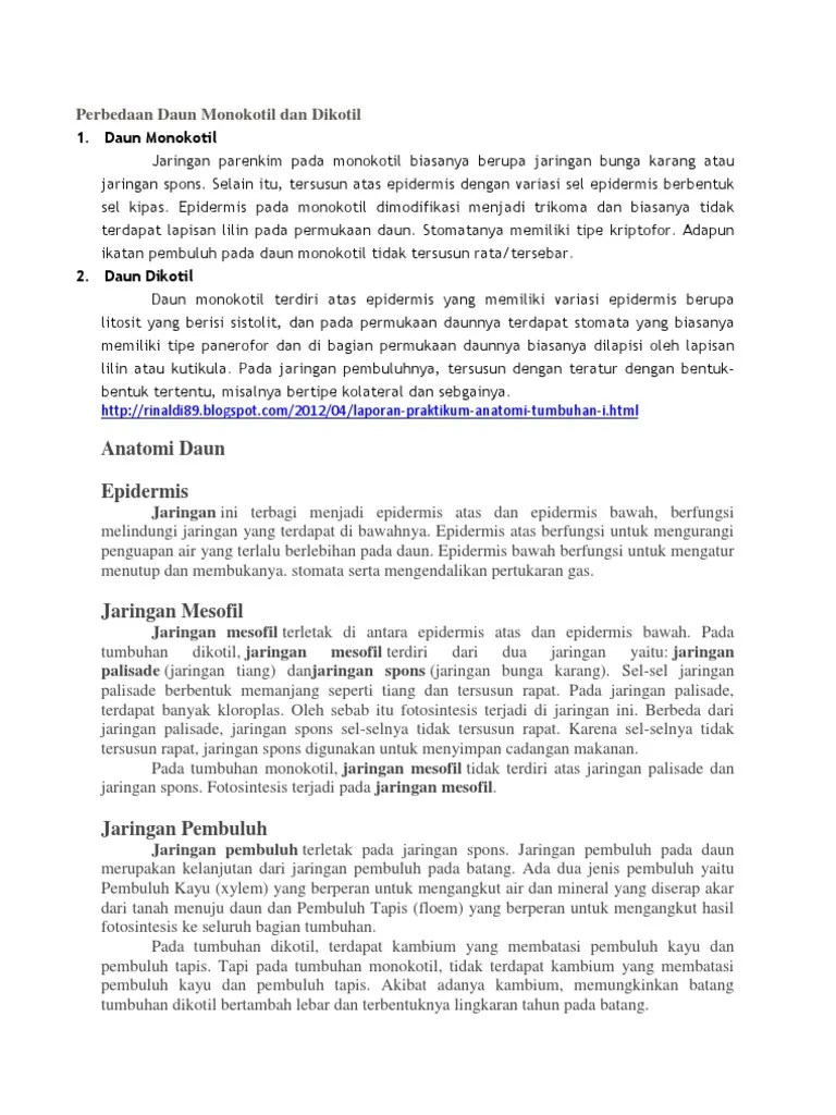 Perbedaan anatomi batang dikotil dan monokotil od4pypymgv4p . Perbedaan Daun Monokotil Dan Dikotil Pdf