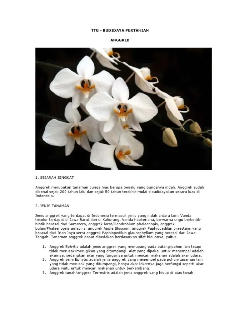 Budidaya Tanaman Anggrek | PDF