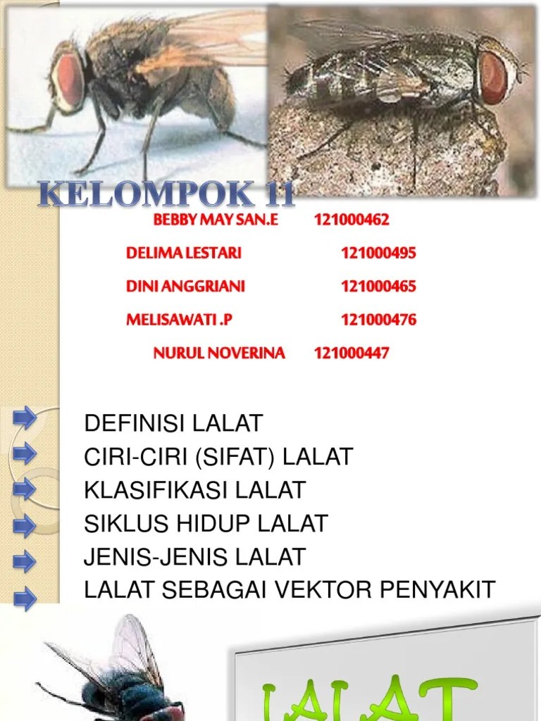Kelompok 11 - Biologi | PDF