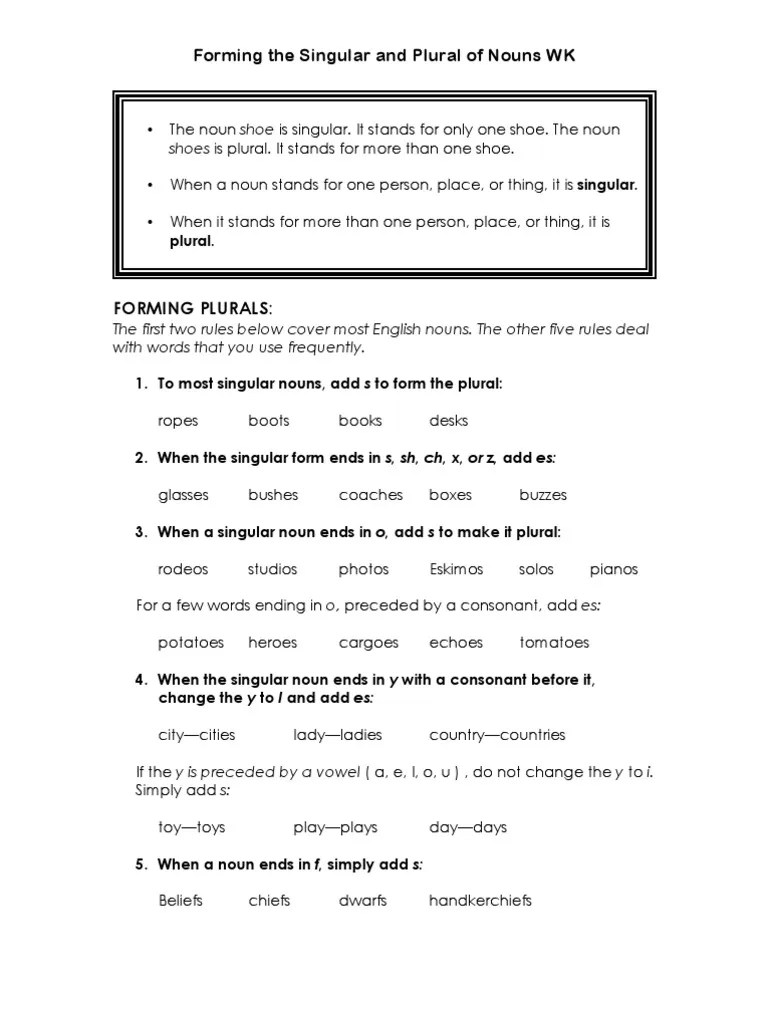 singular plural nouns notes examples and exercises