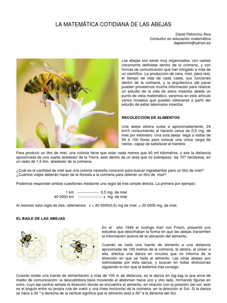 Las Abejas Matematicas | PDF | Miel | Abejas