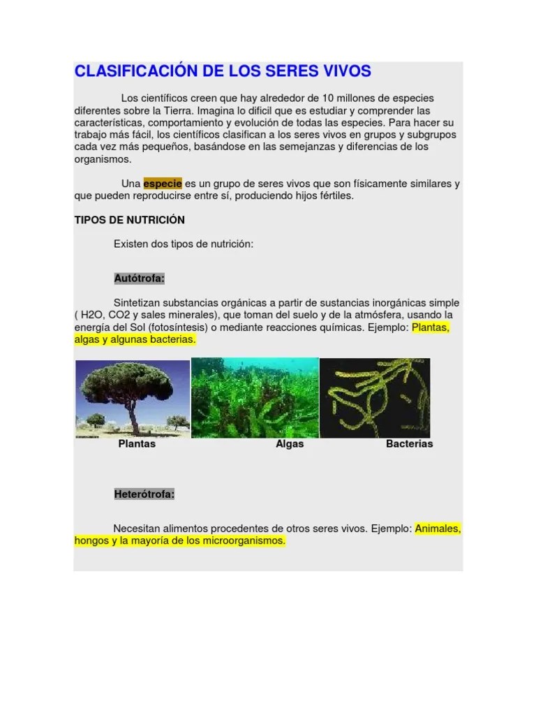 Clasificación De Los Seres Vivos | Descargar Gratis PDF | Plantas | Hongo