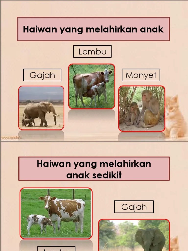 Industri pertanian pencemaran akibat aktiviti pertanian, sama ada yang disebabkan oleh hasil buangan cecair atau pepejal, seperti aliran air yang bercampur dengan racun makhluk perosak, baja dan sisa makanan, najis haiwan dan sisa makanan atau hakisan serta debu daripada pembajakan. Pembiakan Haiwan Pdf