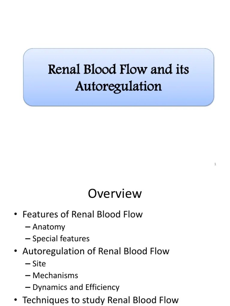 Renal Blood Flow And Its Autoregulation (Seminar) | PDF | Kidney ...