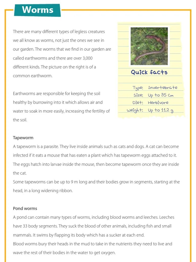 Worms - Reading Comprehension For Primary/elementary Children | PDF | Invertebrate | Blood