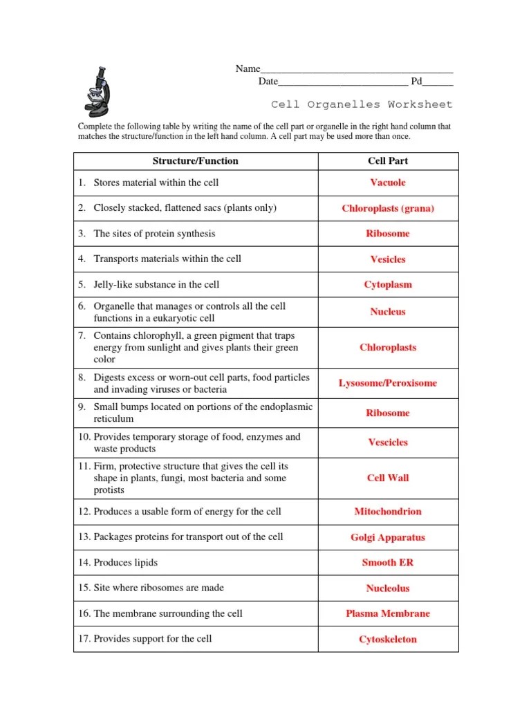 Materials from one part of the cell to another. Cell Organelles Worksheet Key Pdf Cell Biology Cell Membrane