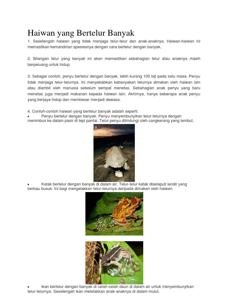 Mengapa Haiwan Bertelur Sedikit Sains Tahun 2 - Tahun 2 Sains Beranak Sedikit Beranak Banyak Otosection