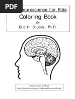 Color psychology seeks to determine how colors affect human behavior and physiology. Human Heart Coloring Worksheet Pdf
