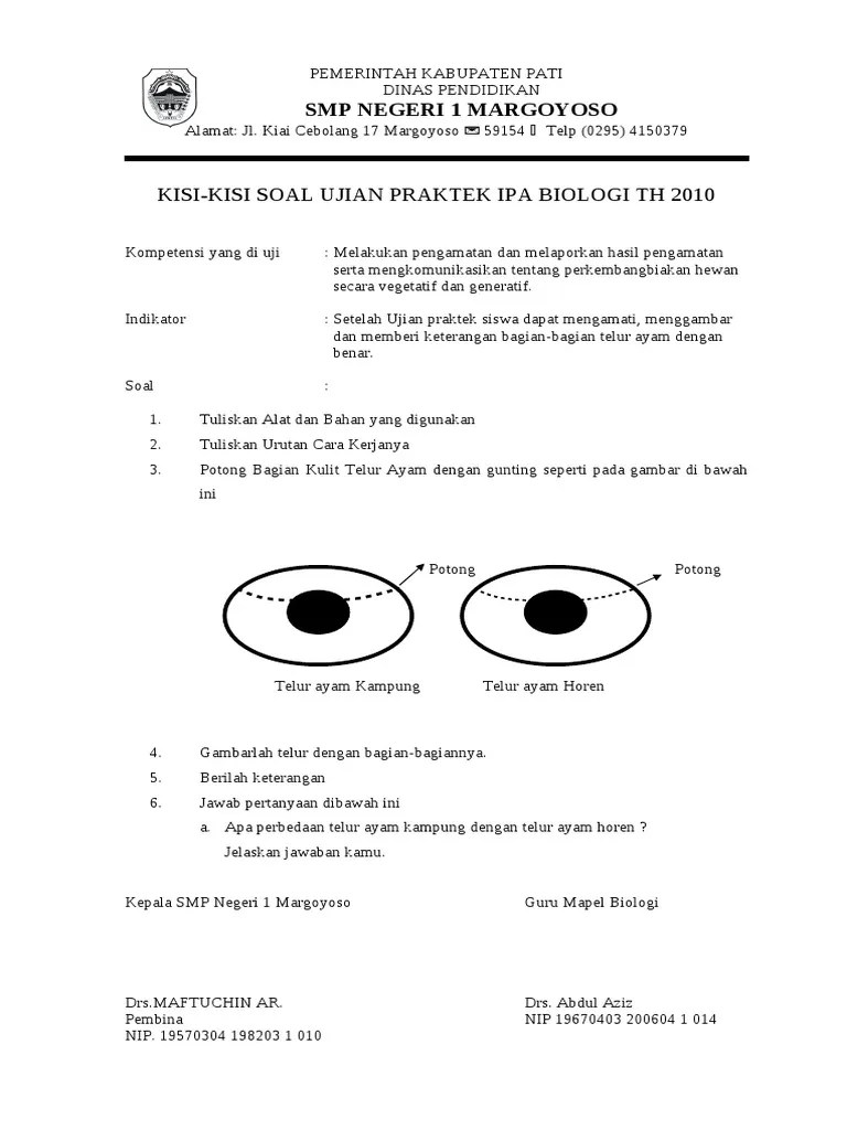 Buku new update the king pocket sma: Kisi Kisi Ujian Praktek Pdf