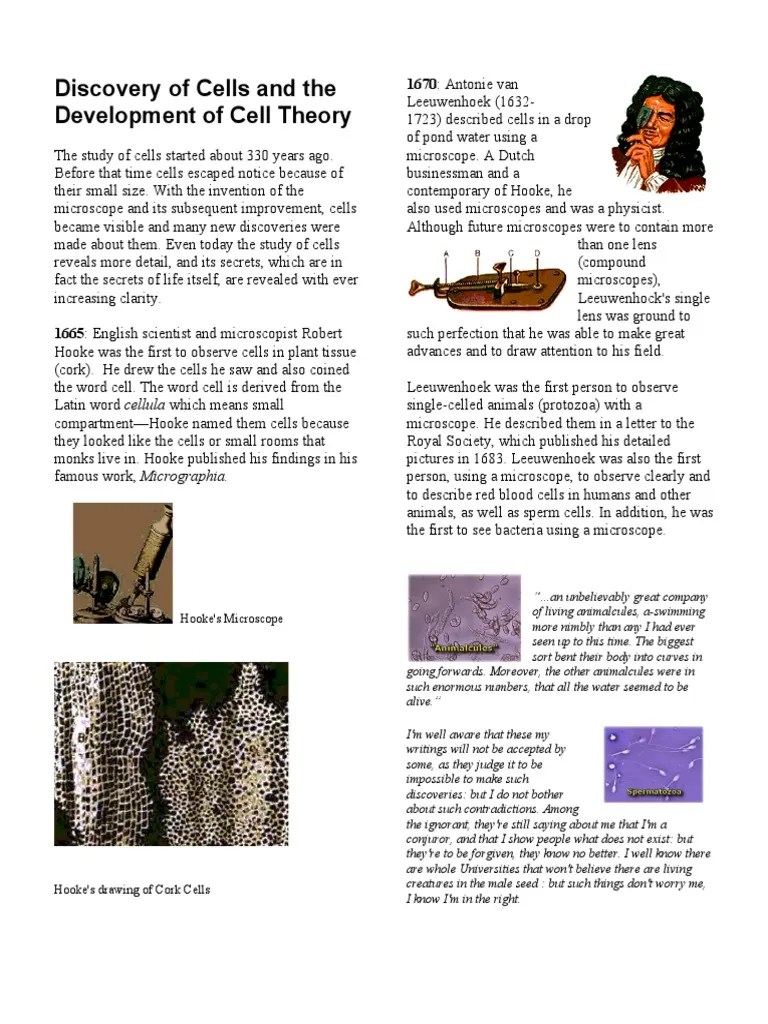 Discovery Of Cells And The Development Of Cell Theory | PDF | Cell ...