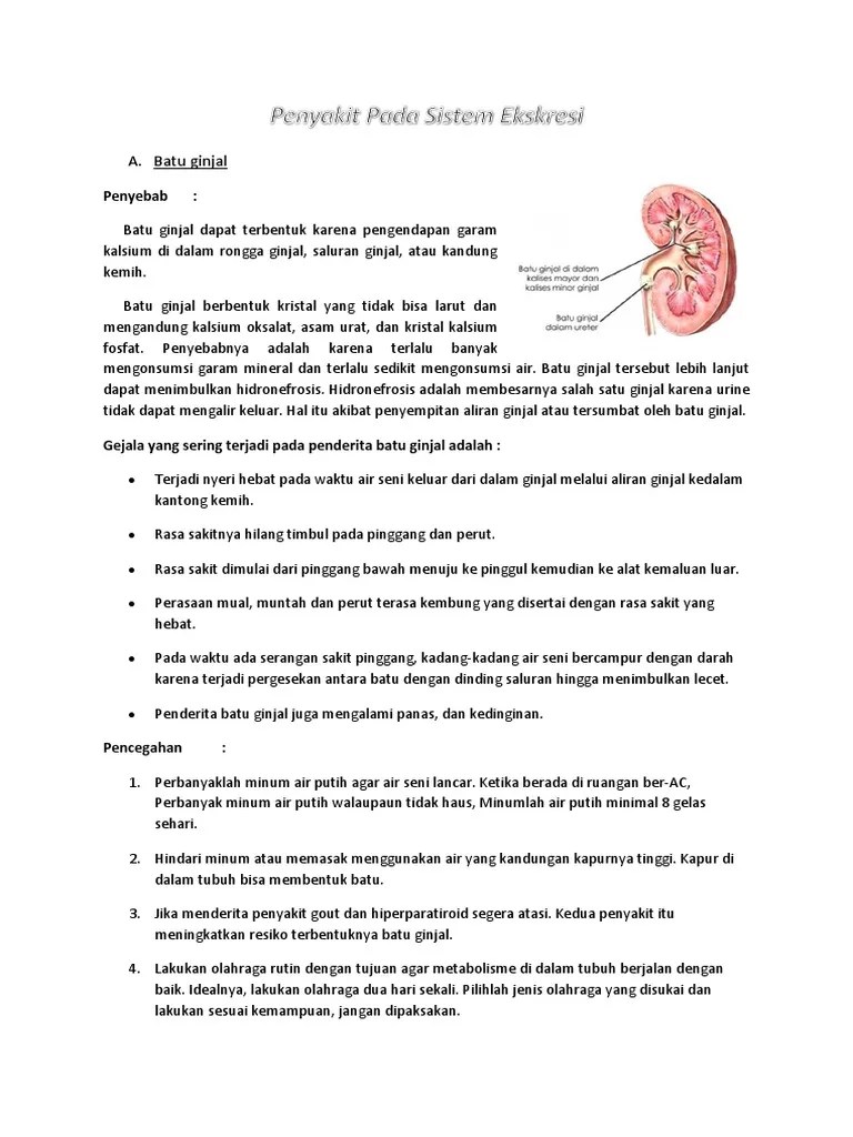 Jenis antibiotik bergantung pada tingkat keparahan dan frekuensi infeksi serta usia pasien. Penyakit Pada Sistem Ekskresi Pdf