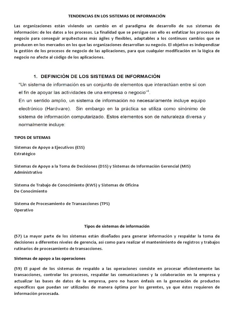 Expo Sistema De Informacion Gerencial | PDF | Sistema De Informacion ...