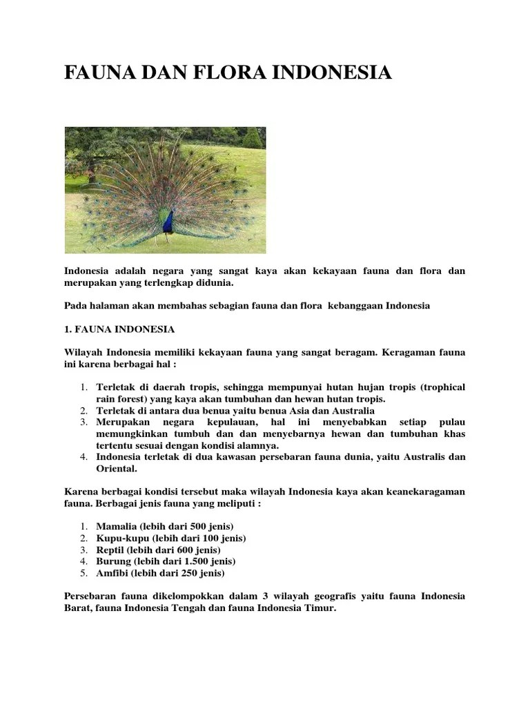 di zona intertropis amerika, hutan amazon terletak dan di afrika mereka adalah hutan besar kongo. Fauna Dan Flora Pdf