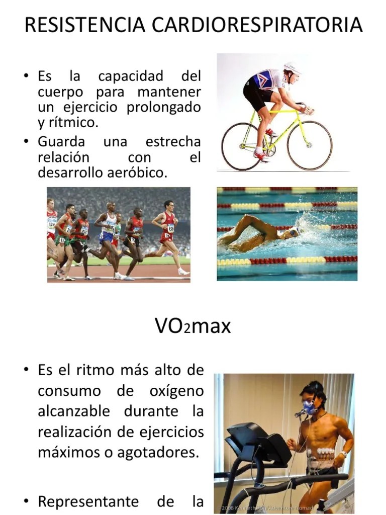 Adaptaciones Cardiorespiratorias Al Entrenamiento | PDF | Pulmón | Sistema Respiratorio