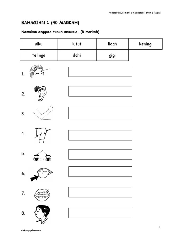 Beberapa contoh daripada komuniti kami · 10000+ keputusan untuk 'tahun 1 pendidikan kesihatan awasi diri'. Ujian Pendidikan Kesihatan Sem 1 Pdf