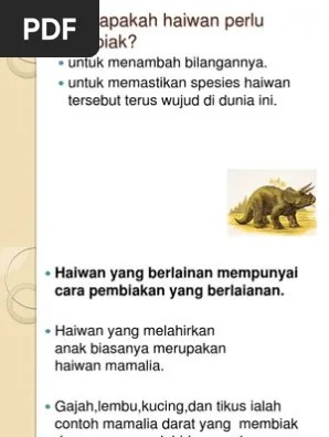 Contoh Haiwan Yang Melahirkan Anak Banyak : 5 Haiwan Ini Menjaga Bayi Mereka Dengan Penuh Kasih Sayang Iluminasi