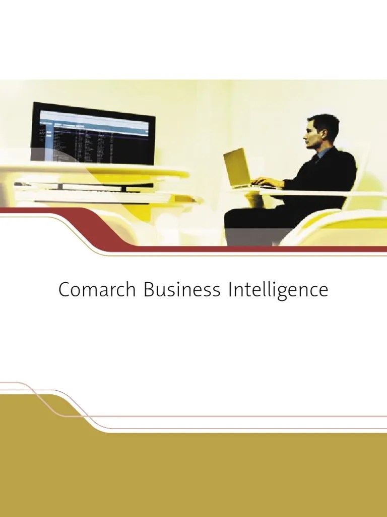 Business Intelligence Brochure | PDF | Business Intelligence | Data ...