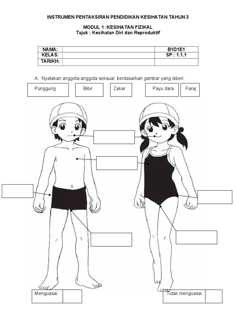 Buy modul aktiviti integrasi digital kssr pendidikan jasmani & pendidikan kesihatan tahun 1 online published by sasbadi (isbn: Kesihatan Diri Dan Reproduktif Pdf