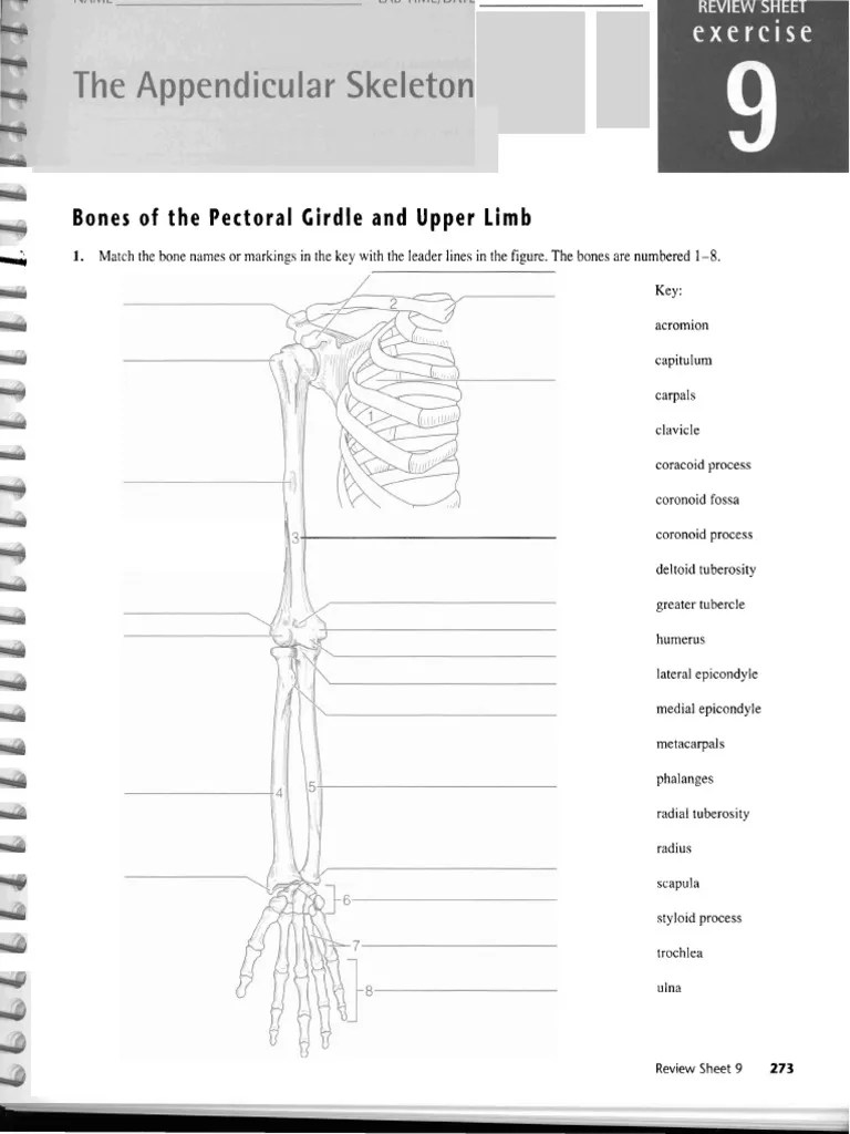 Review Exercise 9