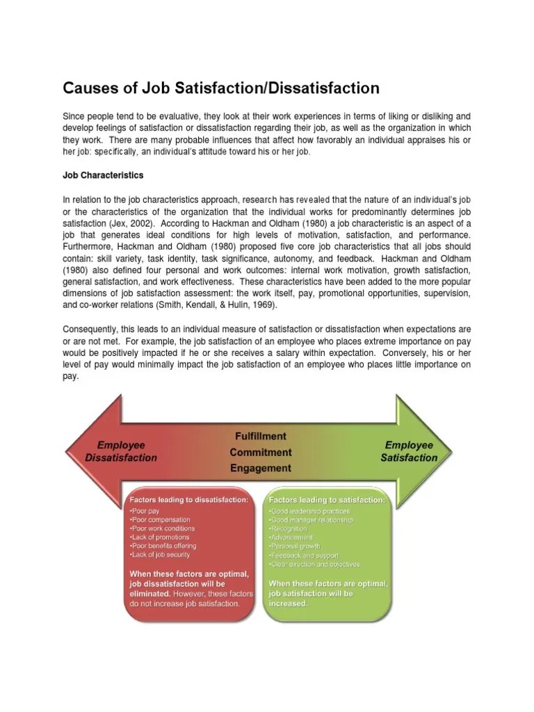 Causes Of Job Satisfaction | PDF | Job Satisfaction | Employment