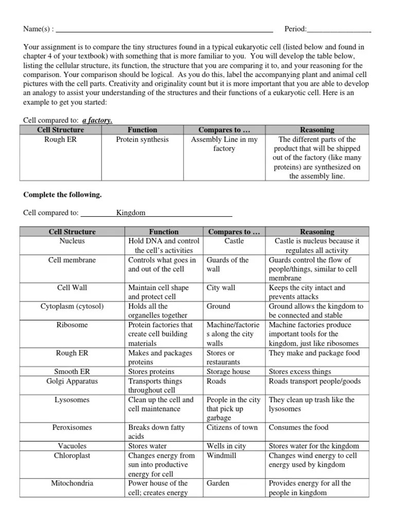 Cell Analogy Worksheet | PDF | Endoplasmic Reticulum | Cell (Biology)