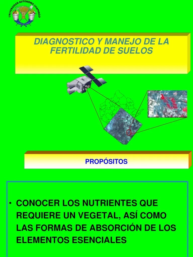 FERTILIDAD De SUELOS Diagnostico Y Manejo De La Fertilidad De Suelos ...