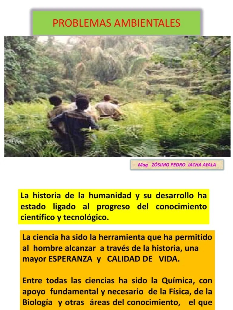 Problemas Ambientales | PDF | Ecología | Ecosistema