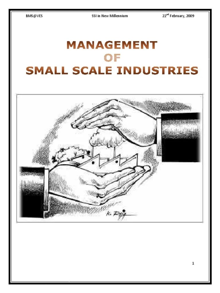 Management Of Small Scale Industry | PDF | Entrepreneurship | Economic Growth