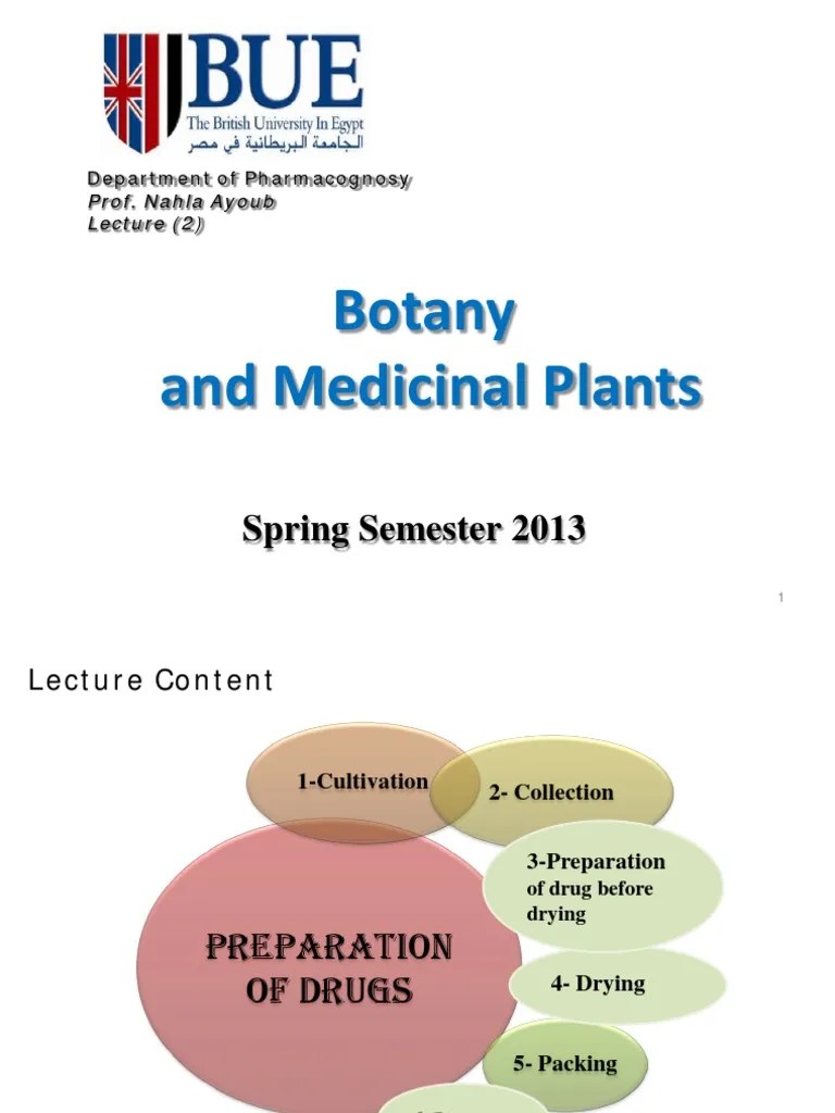 Botany Lecture 2 | Download Free PDF | Freeze Drying | Vanilla