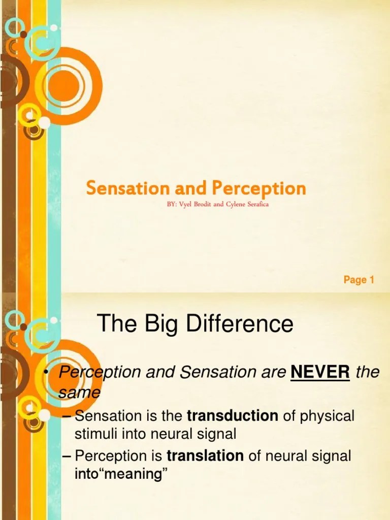 Sensation And Perception | PDF | Senses | Taste