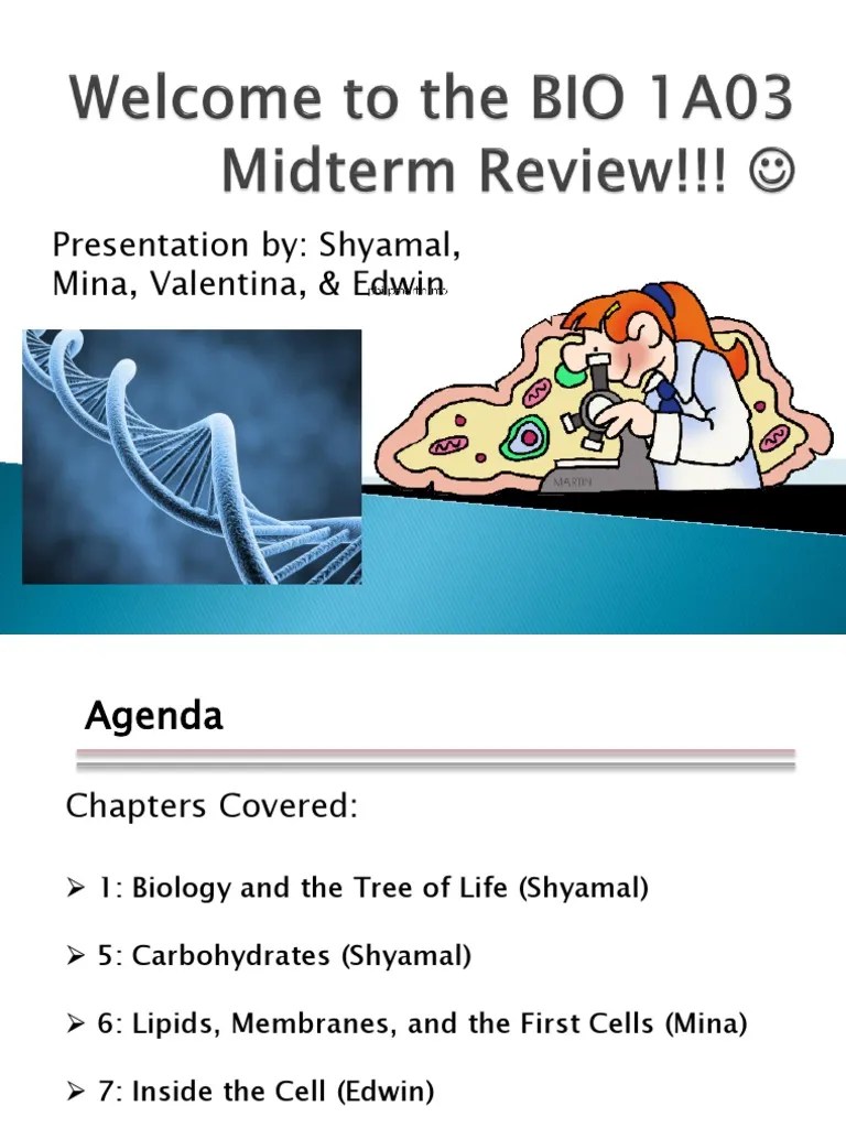 Mcmaster BIO 1A03 Midterm 1 Review By Biology Society | PDF ...
