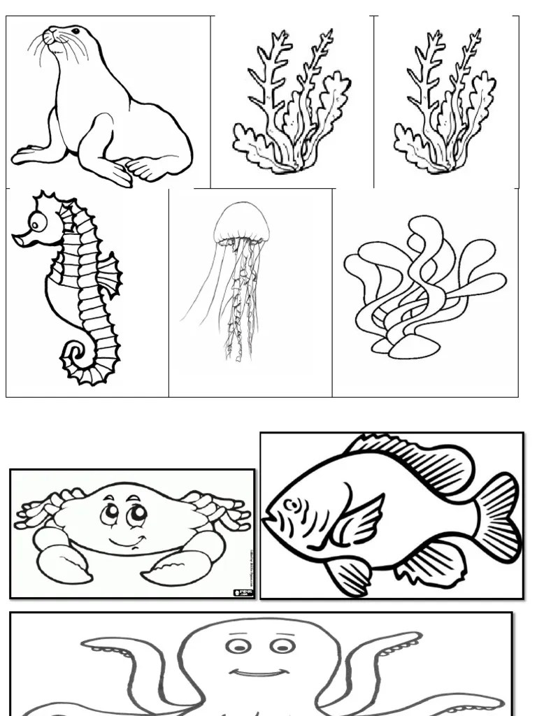 7 binatang laut yang berbahaya saheb adin siteu0027s Gambar Hidupan Laut Pdf