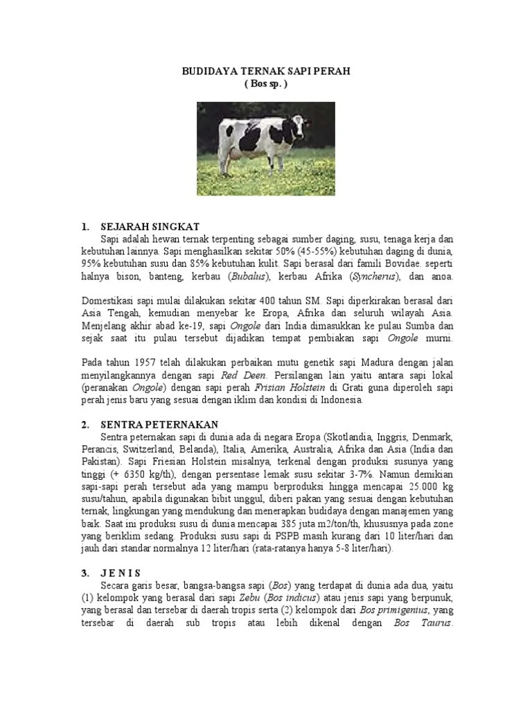 Budidaya Ternak Sapi Perah | PDF