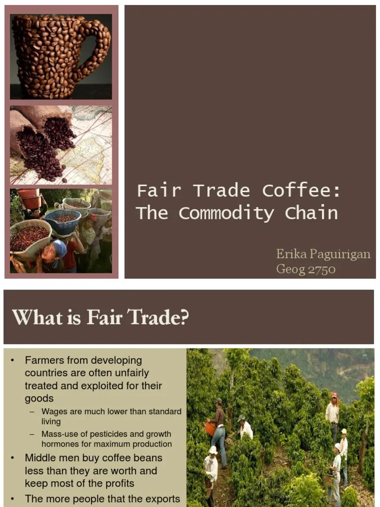 Fair Trade Coffee Commodity Chain | PDF | Fair Trade | Retail