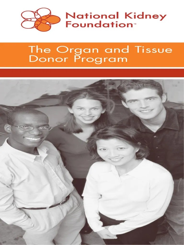 The Organ Donor Program | PDF | Organ Donation | Organ Transplantation