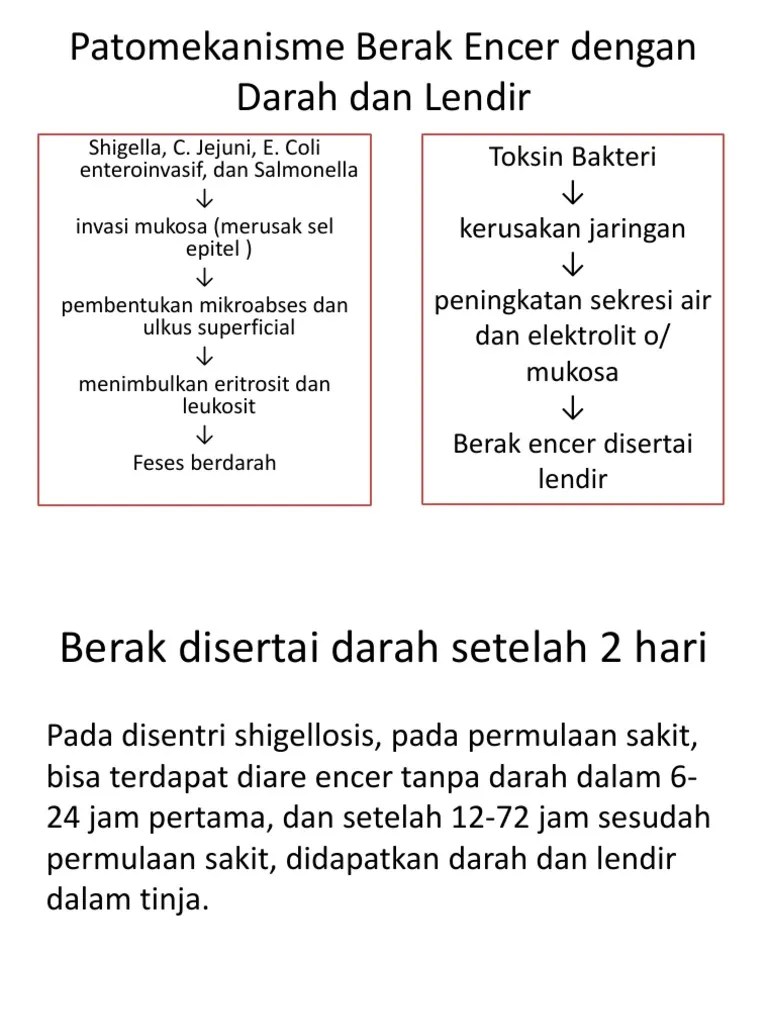 Patomekanisme Berak Encer Dengan Darah Dan Lendir | PDF
