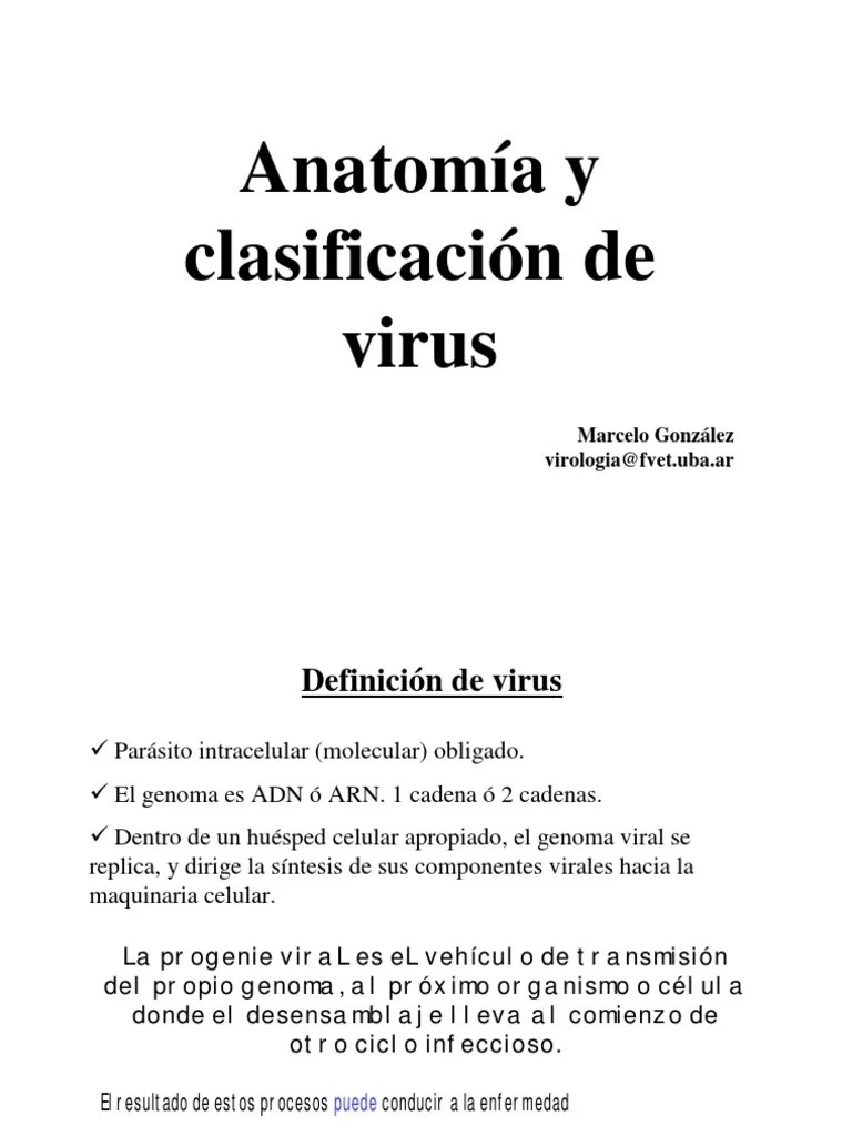 5 Anatomia Y Clasificacion De Virus | PDF | Virus | Biología Celular)