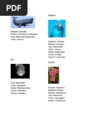 A challenge for orchid taxonomy, evolution and conservation research. Science Send Pdf Taxa Plants