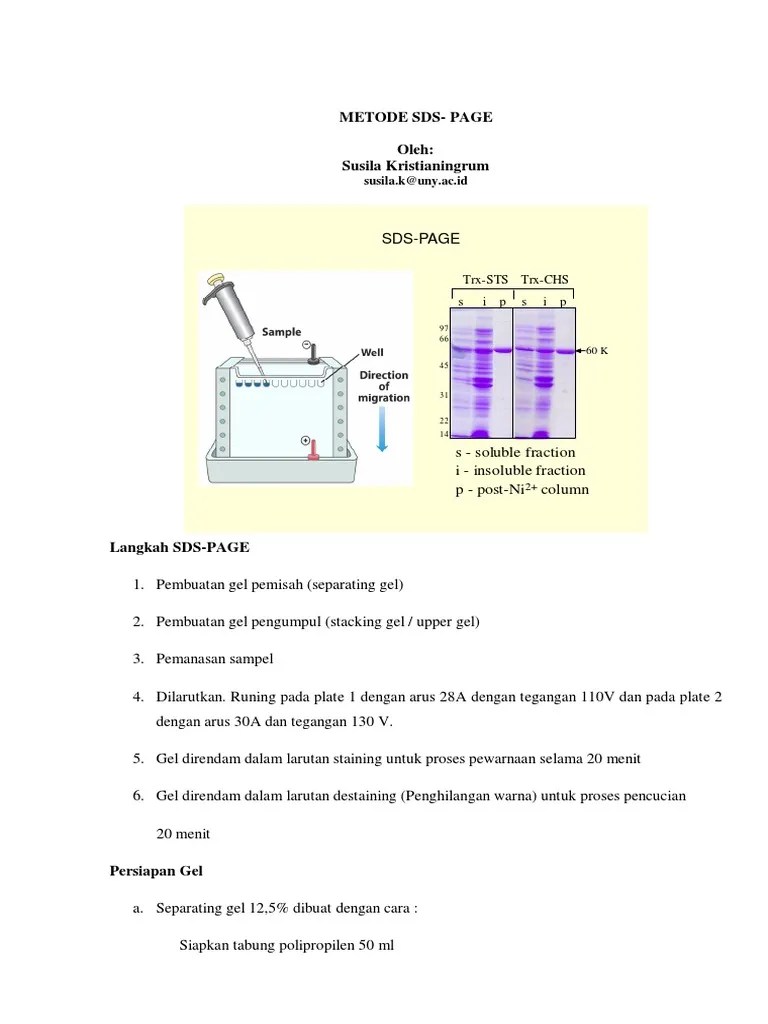 Handout MPAK Prosedur Elektroforesis SDS PAGE | PDF