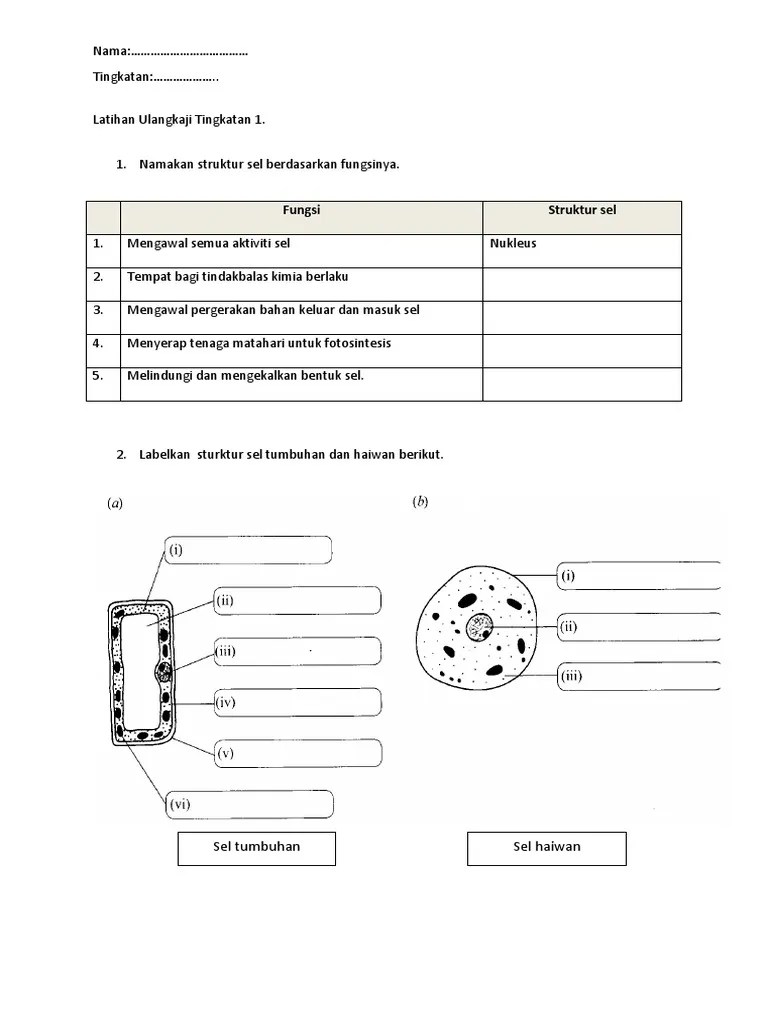 Latihan Sains Tingkatan 1 Pdf