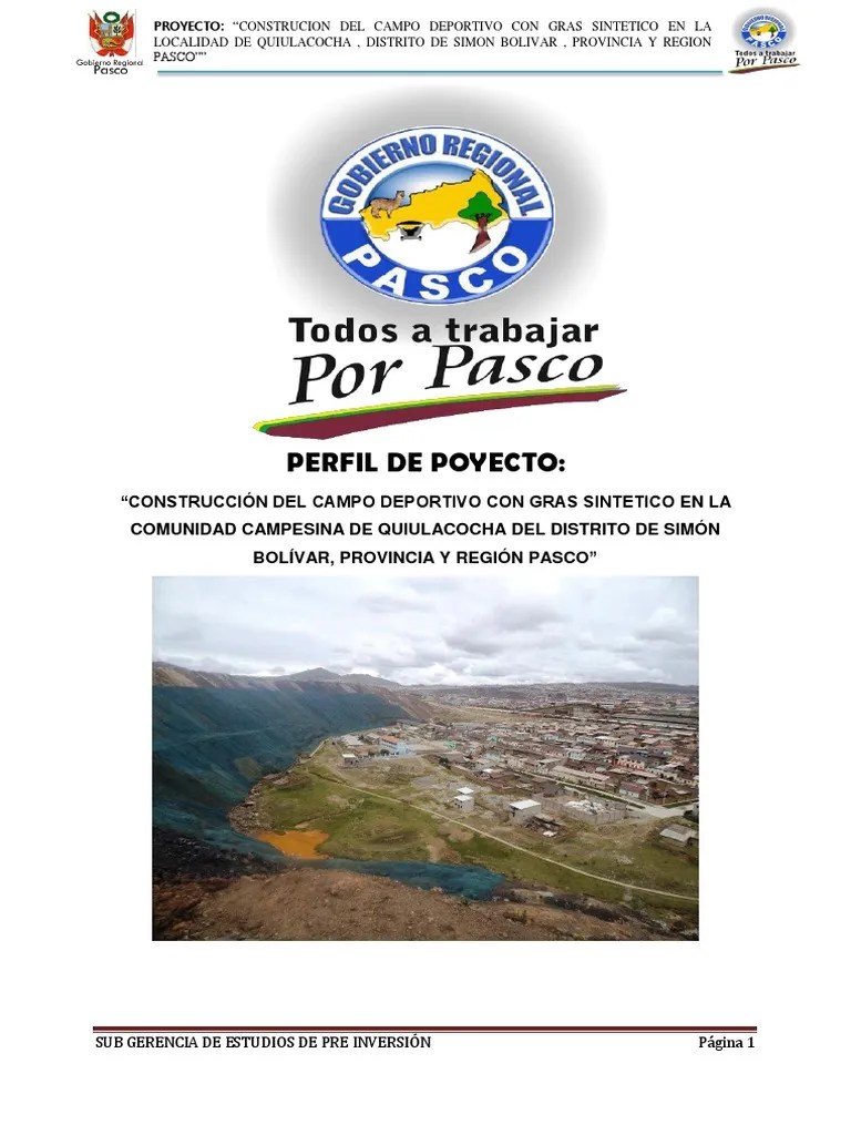 Perfil Del Proyecto Campo Deportivo Con Gras Sintético - Simón Bolivar - Pasco | PDF ...