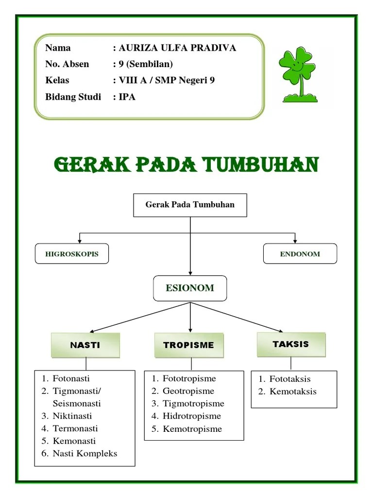 Gerak Pada Tumbuhan | PDF
